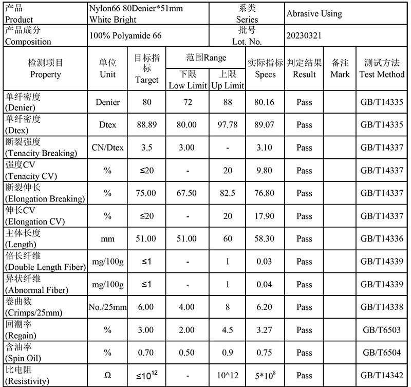 PA66 and PA6 TDS 20230601-1.jpg